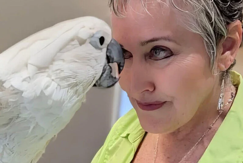 Boo’s Second Act: From Recovery to Helping Others