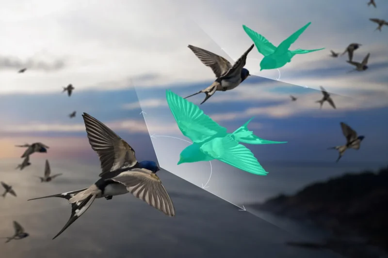 Breaking Classical Physics: Physicists Bypass Newton’s Third Law to Unlock the Secrets of Living Swarms and Quantum Matter
