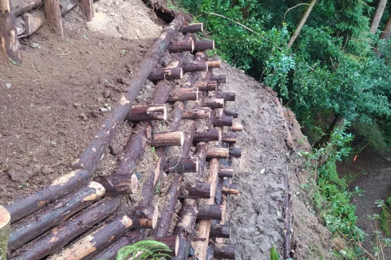 Building with Nature: How Natural Engineering is Transforming Infrastructure and Conservation in the Azores