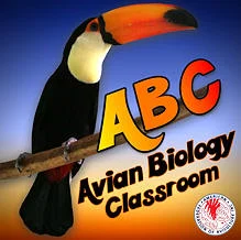 Empowering Avian Care: A Comprehensive Guide to the American Federation of Aviculture’s Educational Tools and Programs
