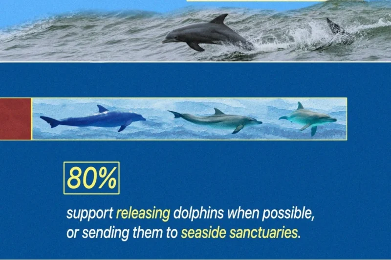 New Nationwide Harris Poll Commissioned by PETA Reveals Overwhelming Public Opposition to Dolphin Captivity in Marine Parks
