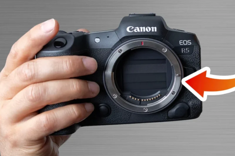 Nikon Patent Defeat in China Redefines the Future of Mirrorless Lens Mount Ecosystems