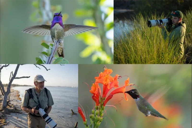 OM System and the Cornell Lab of Ornithology return for the second season of Wild Birds Revealed featuring photographers Tim and Russell Laman