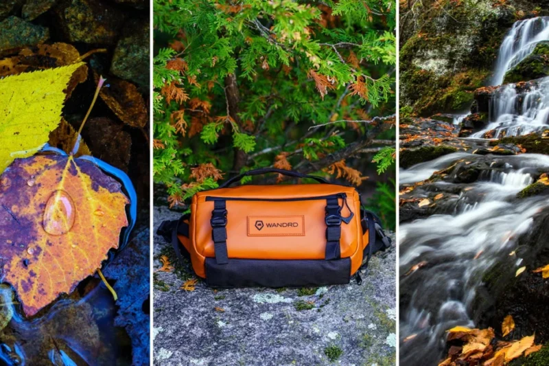Optimizing the Autumn Field Kit: Strategic Gear Selection for Seasonal Nature Photography