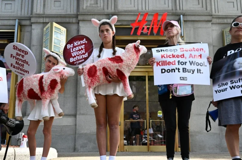 PETA Protest at New York Fashion Week Sparks Global Debate Over Wool Industry Ethics and Runway Safety