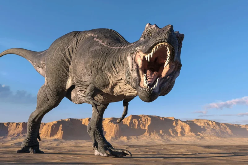 Taking the Temperature of a Tyrant: Scientists Measure the Body Heat of Tyrannosaurus rex for the First Time