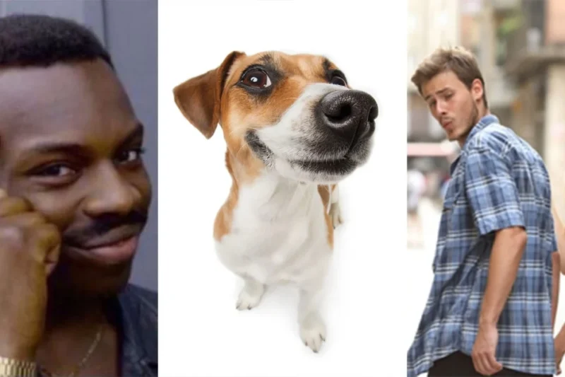 The Bitter Reality of Viral Fame: When Your Photography Becomes an Internet Meme