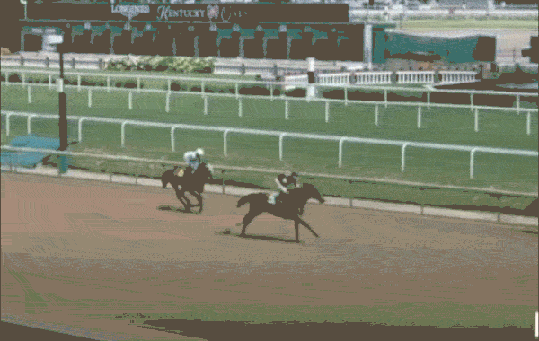 Tripadvisor Issues Global Animal Welfare Warnings for Major Racetracks Sparking Industry-Wide Debate