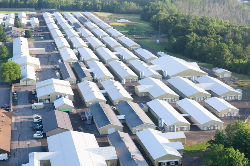 Unmasking Marshall BioResources: Inside the Massive U.S. Breeding Facility Supplying Animals for Laboratory Testing