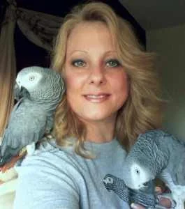 Webinar: AFA Recap With Lisa Bono