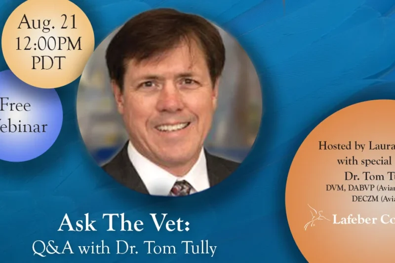 Webinar: Ask The Vet With Dr. Tom Tully