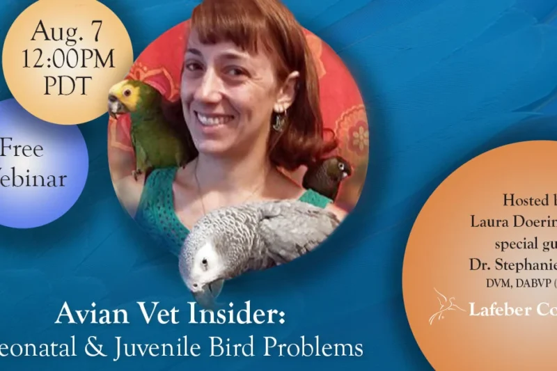 Webinar: Neonatal & Juvenile Bird Problems
