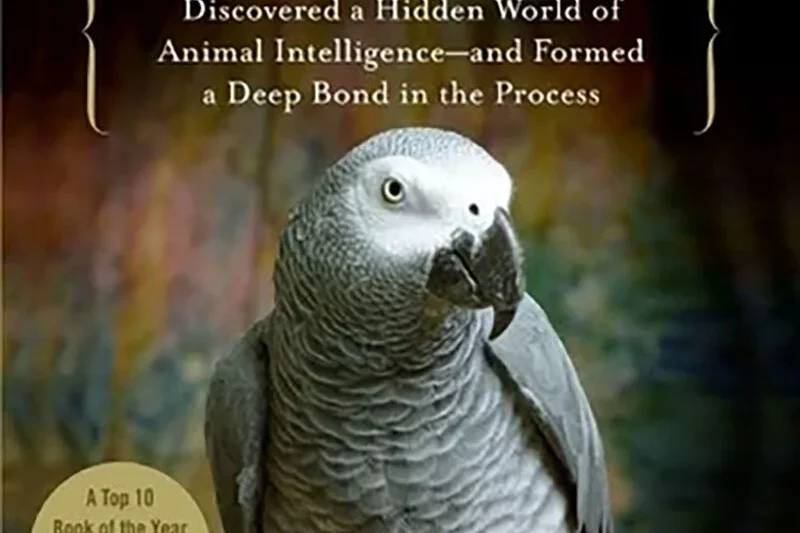 Beyond Words: The Scientific Legacy of Alex the African Grey Parrot Moves to the New York Stage