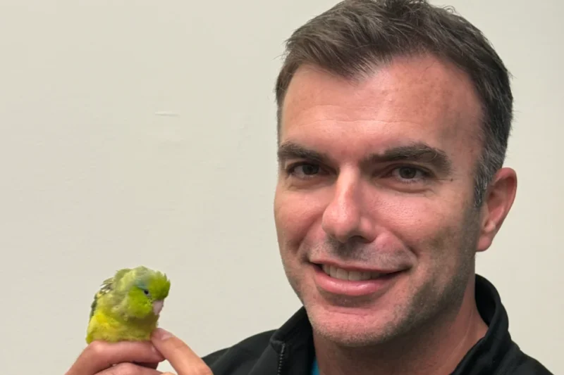 Dr. David Sanchez-Migallon Guzman named Avian Practitioner of the Year