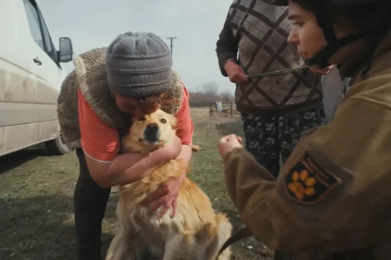 Lifeline Under Fire: How Ukrainian Animal Rescuers and the Global Compassion Fund Are Saving War-Traumatized Animals on the Frontlines