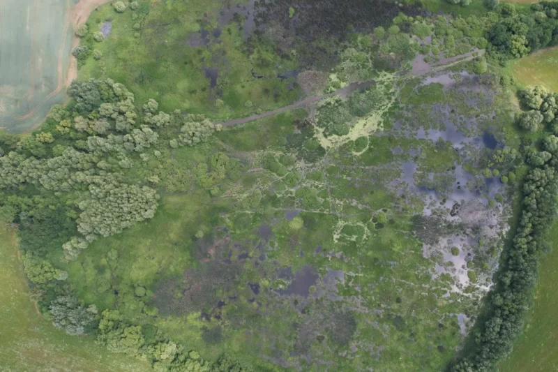 Tangar&aacute;: Bridging the Gap Between Conservation and Commerce in Paraguay’s Atlantic Forest