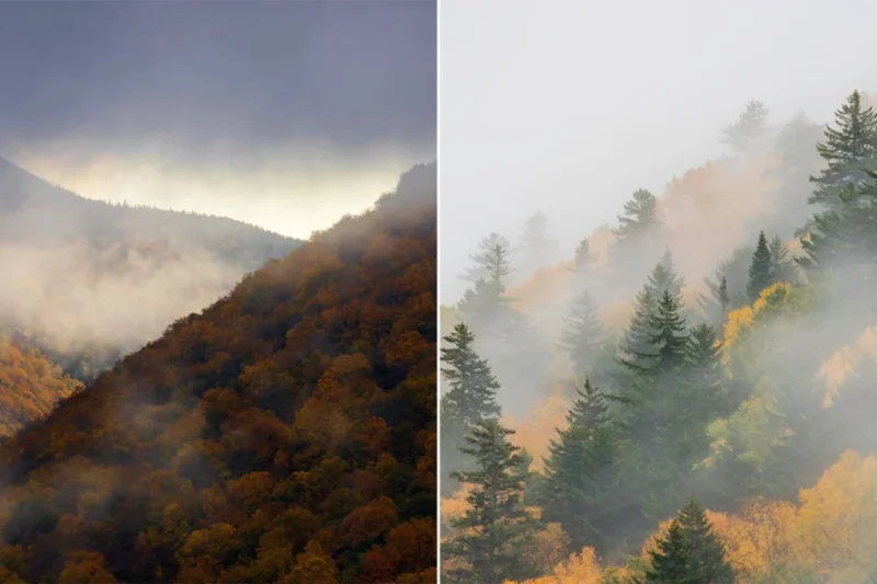 The Shift Toward Telephoto Focal Lengths in Modern Landscape Photography