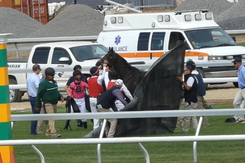 Tragedy on the Turf: Two Young Horses Die in Opening Week at Newly Renovated Belmont Park