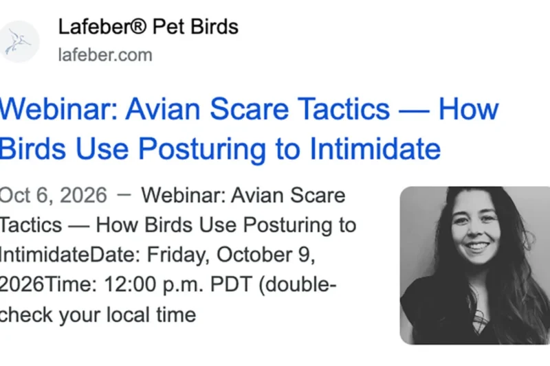 Webinar: Avian Scare Tactics — How Birds Use Posturing to Intimidate