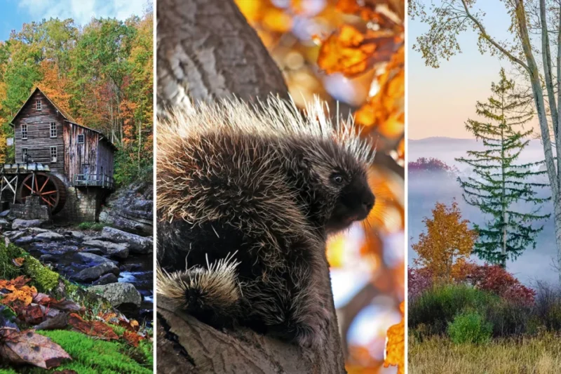 What 20 Years of Photographing Fall Color Has Taught Me